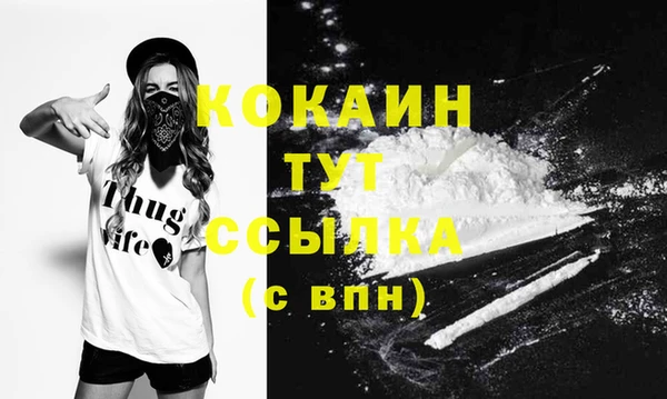 дживик Алзамай