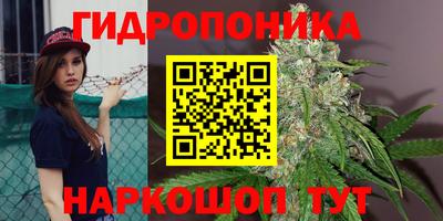 шишки Магнитогорск
