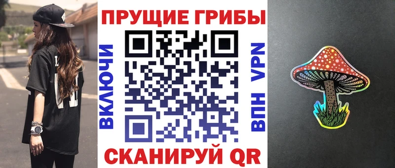 что такое наркотик  Астрахань  Галлюциногенные грибы Psilocybine cubensis 