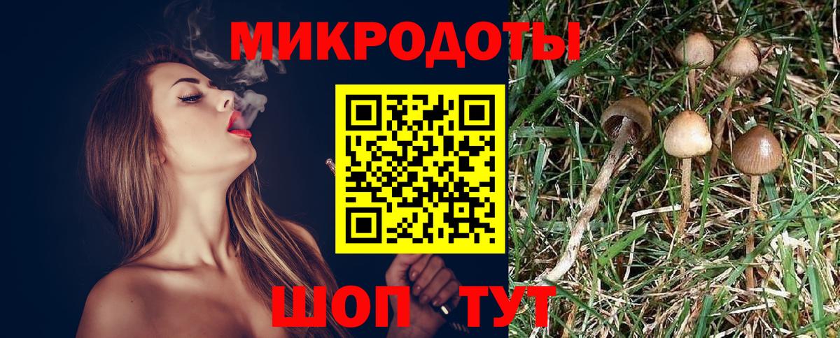 Псилоцибиновые грибы мухоморы  Галлюциногенные грибы GOLDEN TEACHER  Астрахань  Вход с VPN 